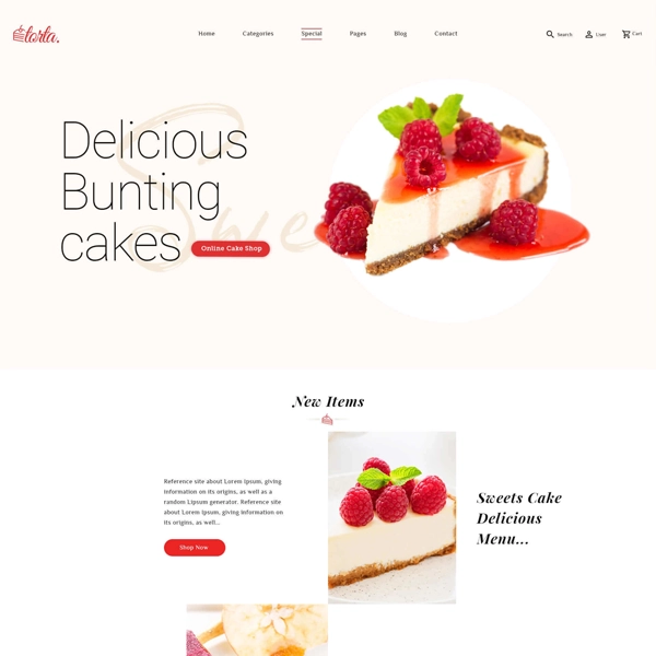 custom-website-design-1